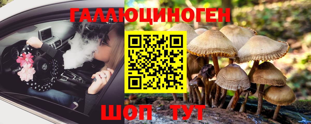 Псилоцибиновые грибы прущие грибы Троицк